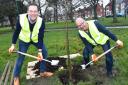 Mayor Andy Preston (L) and Councillor Dennis McCabe plant a tree at Ayresome Gardens as part of the town's £500k Urban Tree Challenge Fund project
