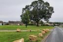 Hipswell Village Green  now a protected recreational space 