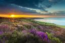 Coastal view from the North York Moors towards Robin Hood’s Bay Picture: EBOR IMAGES