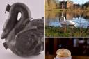 Kiplin Hall: of swans and ice cream