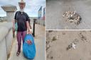 OAP sick of beach litter wants to get arrested for repeatedly fly-tipping waste