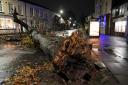 Storm Arwen pictures show trail of destruction across North East