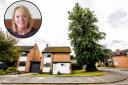 Celia Senior has been refused permission to prune the 72 feet tree which towers over her Darlington home Picture: Stuart Boulton
