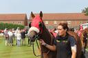 Redcar has been praised for supporting stable staff