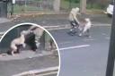 A vile man caught on CCTV repeatedly kicking his lurcher Benji has been banned from keeping animals for five years.