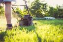 Garden owners should stop mowing their lawn in the autumn, between late September and late October, according to a garden expert