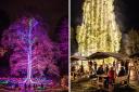 This is why you don't want to miss AGLOW at Auckland Castle this year