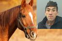 Liam Shone jailed after attacking woman on isolated lane while she was tending to her horses.