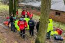 Mountain rescue teams were called out on Sunday after a runner badly injured their ankle running through woods.