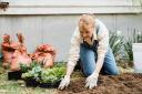 There are numerous ways to keep your garden tidy this winter