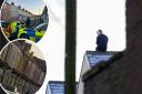 Man climbs on roof and swings off lamppost before being arrested by police