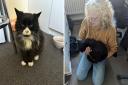 Whiskas the cat with owner Linda Ellerton who have been reunited after 10 years.