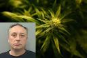 Rafal Pawlowski was caught growing 50 cannabis plants in his Middlesbrough home