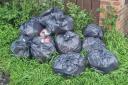 The bags of waste fly tipped in Killinghall Row, Middleton St George