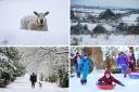 Pictures from the Beast from the East in 2018.