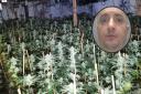 Albanian national Emiliano Lamaj was caught tending large-scale cannabis cultivation operation in end terraced house in Ferryhill, last month