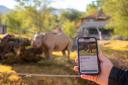 The Living Desert Zoo and Gardens in California has launched the app