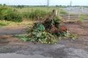 Garden waste was fly-tipped on land near Greenfields Road