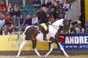Charlotte Martin in action on Solaris Dwenqua at the Horse of the Year Show