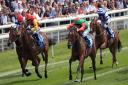 Signora Cabello ridden by Jason Hart (second right) wins the Langleys Solicitors British EBF Marygate Fillies' Stakes at York