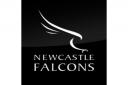 Yorkshire Carnegie vs Newcastle Falcons