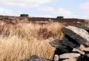 Shooting butts on Keighley Moor