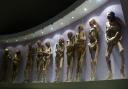FILE – Mummies are displayed in the Mummy Museum in Guanajuato, Mexico (Daniel Jayo/AP)