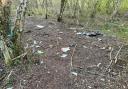 The rubbish left behind by youths in Kitty Woods