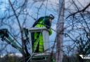 Northern Powergrid engineers working round region to restore affected sections of the network