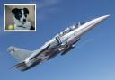 People are advised not to bring their dogs to Teesside Airshow