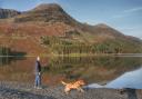 Man walking his dog on the shore of Buttermere in the Lake District as the Government plan to increase walking and cycling through GP prescriptions                              
                                                   Picture: PRESS