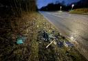 Pictures show debris strewn across roadside after crash the hospitalised seven