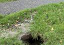 Sink holes that have begun to open up on the new St Mary's Park estate in Stannington, Northumberland.