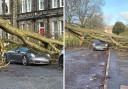 As the North East and North Yorkshire get hit with 75mph winds, which has caused schools to close, public transport to be affected, and roads to be impacted, a picture of a luxury Porsche has been circulated after it was crushed underneath a tree. 