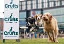 How to get tickets to Crufts as the event returns for another year of dog competitions (PA)