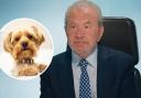 Viewers of BBC's The Apprentice have shared what their dogs think of the dog food challenge.