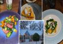 We tried Wynyard Hall's new 'plot-to-plate' home-grown menu - would we go back?
