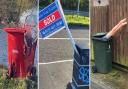 An Instagrammer has found one man’s rubbish really is another’s treasure after clocking up thousands of followers on his account posting snaps of the region’s best bins.