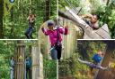 Go Ape is perfect for little monkeys and the big kids among us