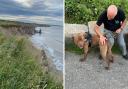 Royal National Lifeboat Institution (RNLI) volunteers sprang into action after receiving a report a Dogue de Bordeaux had fallen over cliffs near Ryhope Dean shortly before 7pm on Tuesday (July 4) Credit: RNLI