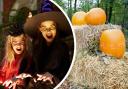 If you're looking for more to do this Halloween in County Durham and North Yorkshire, here are some spooky events