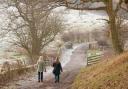 How many of these walking routes across County Durham would you like to explore this winter?