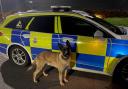 Police dog Kuro and PC Whitehouse responded to a report of theft at the One Stop on Birkdale Road in Hartburn, Stockton Credit: CLEVELAND POLICE
