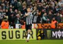 Harvey Barnes celebrates after scoring Newcastle United's equaliser against Luton
