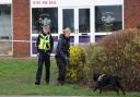 Forensics tent and sniffer dogs on scene of 'disturbance' at trading estate
