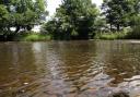 River Ure at Masham