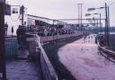 Independent greyhound racing, or ‘flapping’, was a key part of working-class County Durham life from the 1930s until 2019
