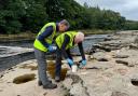 Paul Markie and Nick Gaskell collecting samples at Aysgarth Middle Falls