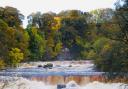 The Stop Ure Pollution (SUP) group has highlighted the 'worrying trend' at Aysgarth Falls, which is popular with tourists and visitors every year