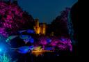 The Glittering North at Raby Castle Picture: SARAH CALDECOTT